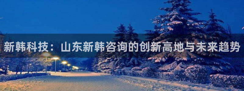 新韩科技：山东新韩咨询的创新高地与未来趋势