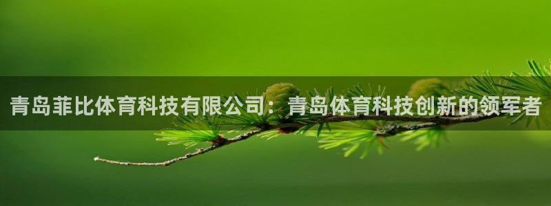 青岛菲比体育科技有限公司：青岛体育科技创新的领军者