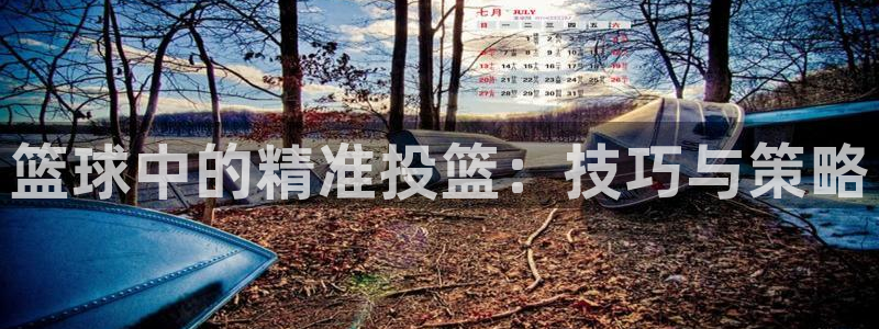 篮球中的精准投篮：技巧与策略