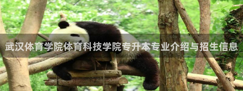 武汉体育学院体育科技学院专升本专业介绍与招生信息