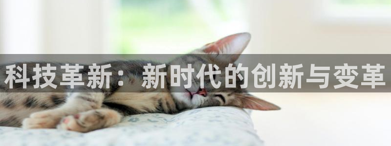科技革新：新时代的创新与变革