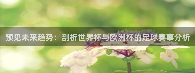 预见未来趋势：剖析世界杯与欧洲杯的足球赛事分析
