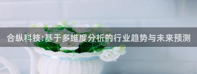 合纵科技:基于多维度分析的行业趋势与未来预测