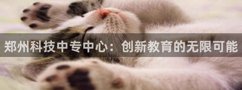 郑州科技中专中心：创新教育的无限可能