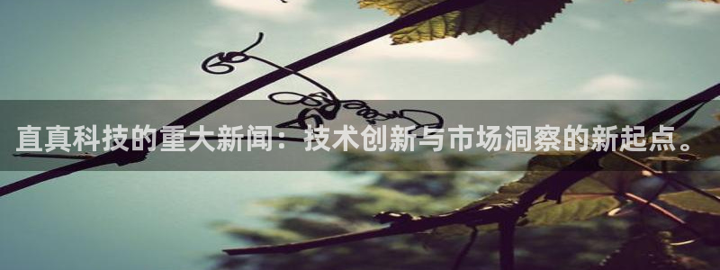 直真科技的重大新闻：技术创新与市场洞察的新起点。