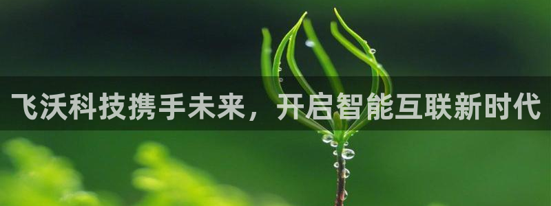 飞沃科技携手未来，开启智能互联新时代