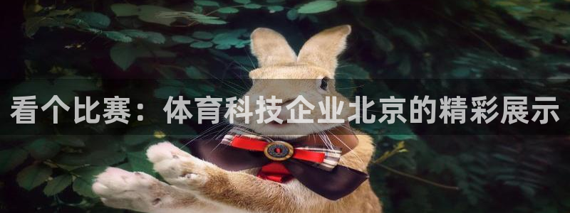 看个比赛：体育科技企业北京的精彩展示