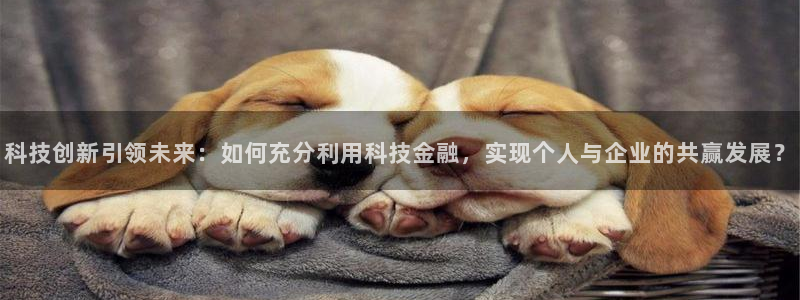 科技创新引领未来：如何充分利用科技金融，实现个人与企业的共赢发展？