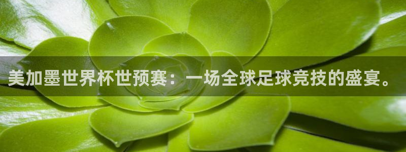 美加墨世界杯世预赛：一场全球足球竞技的盛宴。