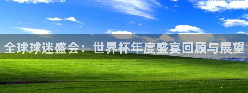 全球球迷盛会：世界杯年度盛宴回顾与展望