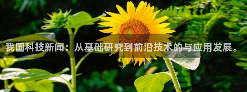 我国科技新闻：从基础研究到前沿技术的与应用发展。