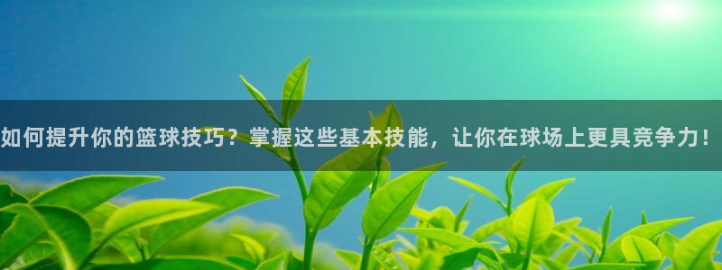 如何提升你的篮球技巧？掌握这些基本技能，让你在球场上更具竞争力！